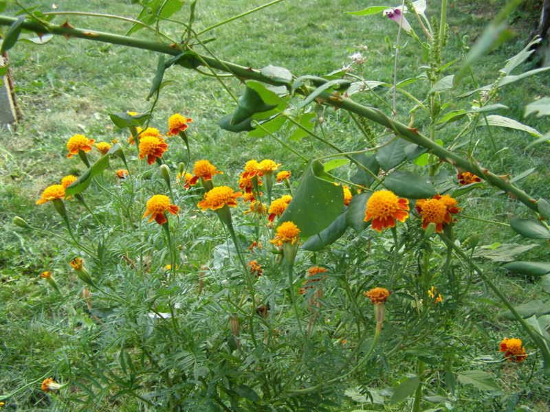 P8310631