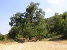 P8300619
