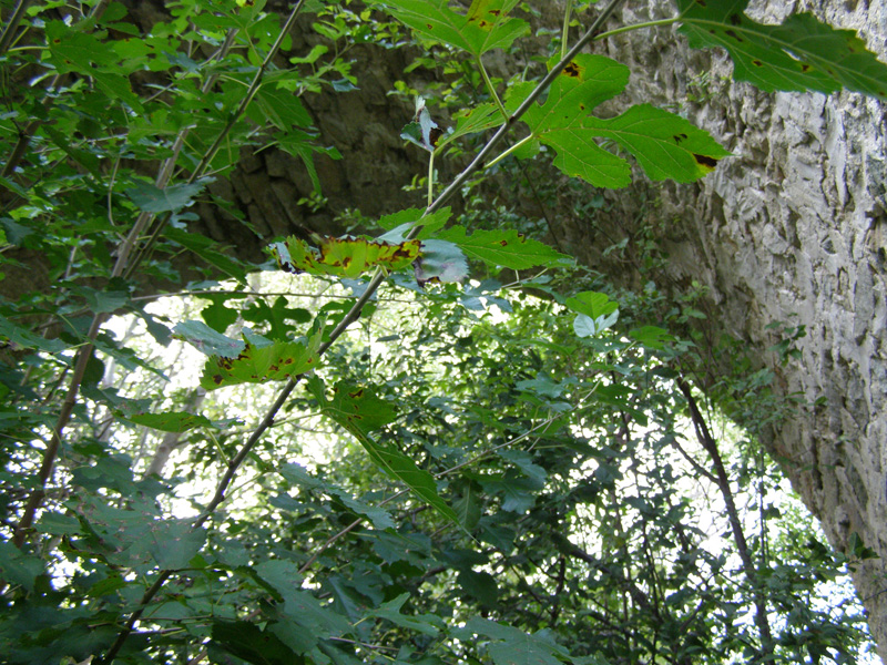 P9280747