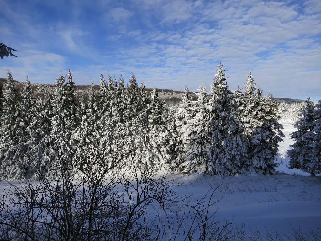 IMG 6689