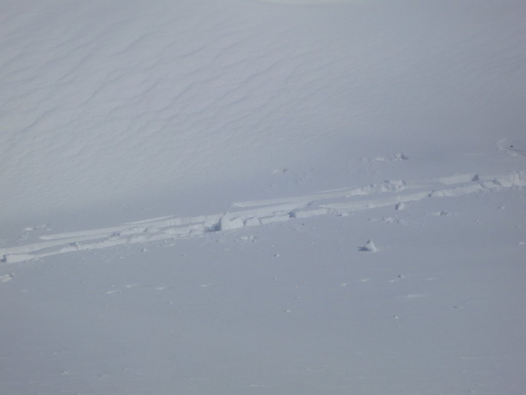 IMG 6697
