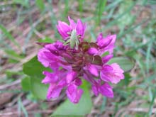P5230818