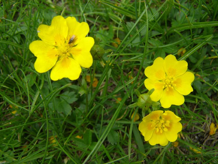 P7050497