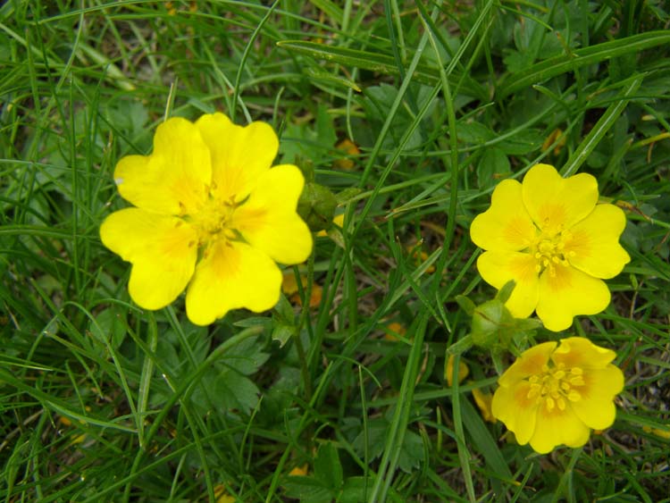 P7050498