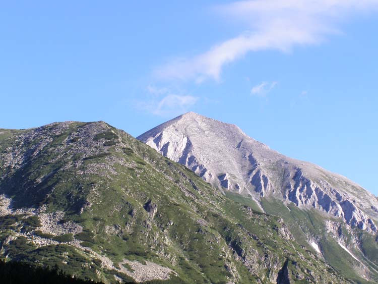 P7060506