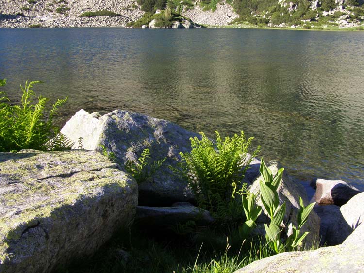 P7060515