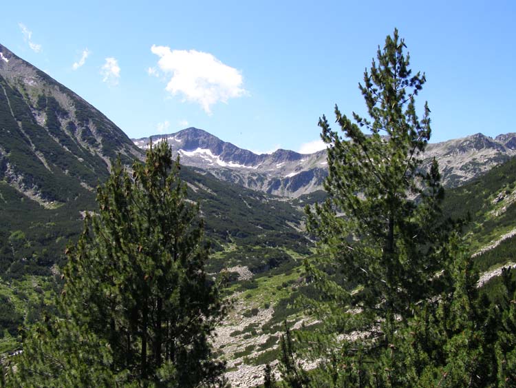 P7060528