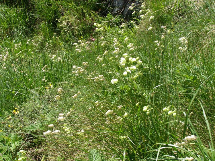 P7060538