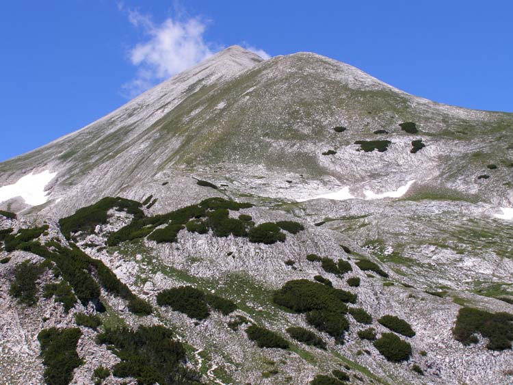 P7060545