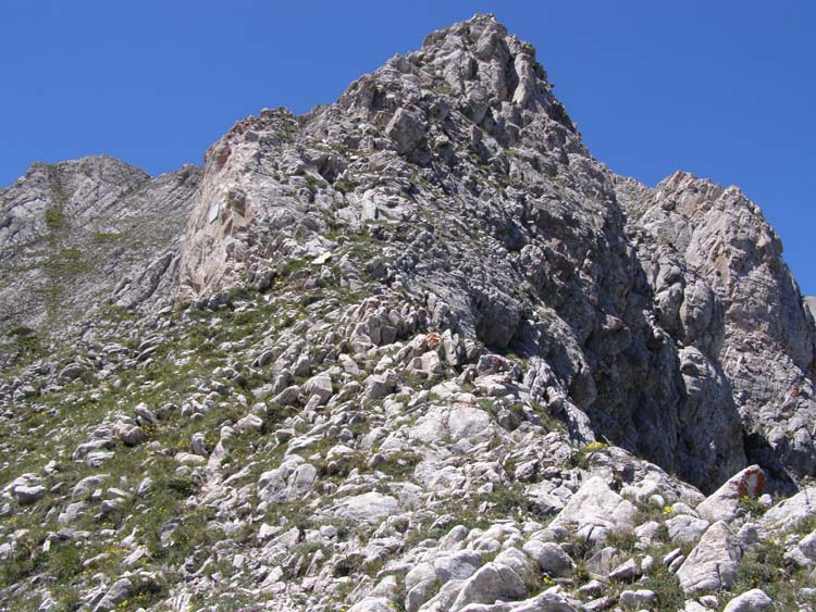 P7060550