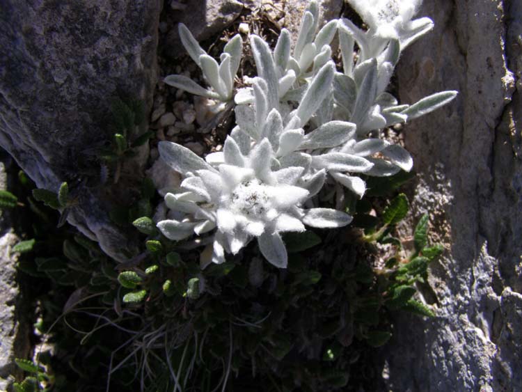 P7060556