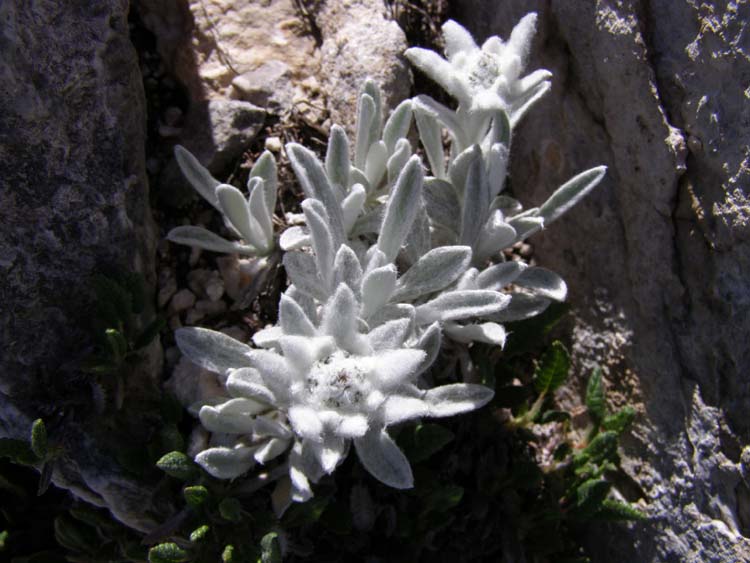 P7060557