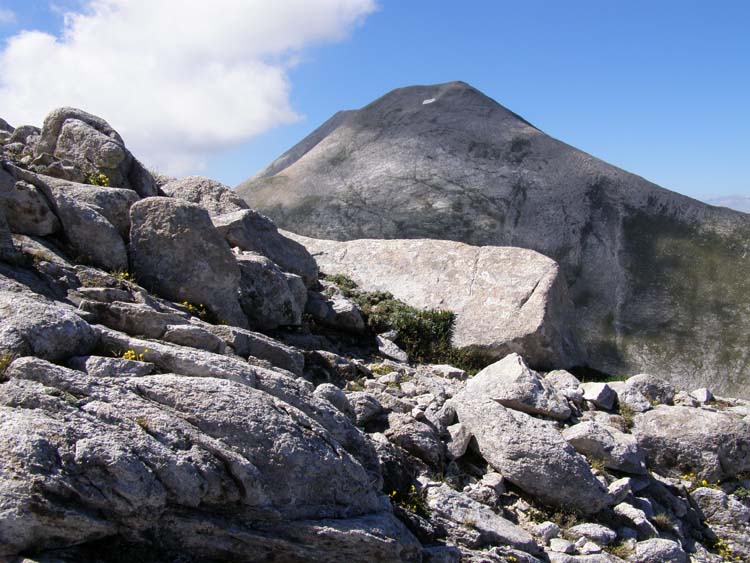 P7060572