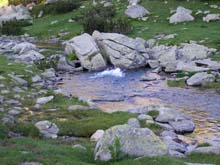 P7060509