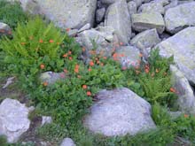 P7060527