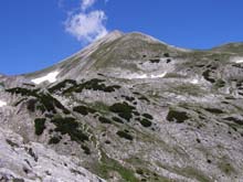 P7060548