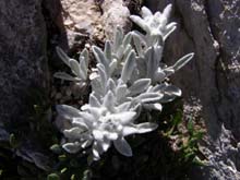 P7060557