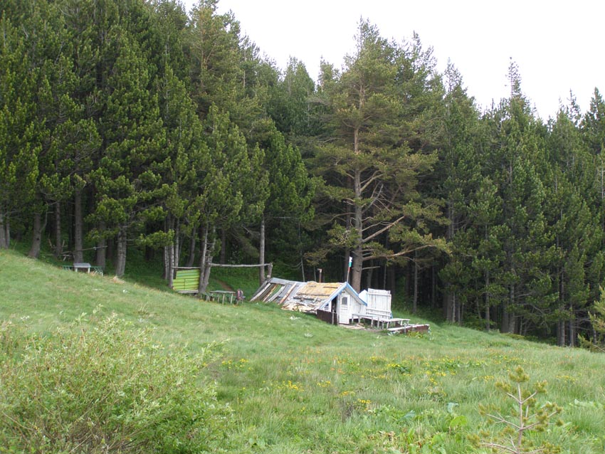 P5301322