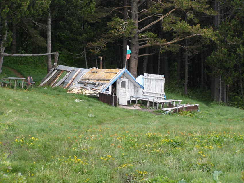 P5301323