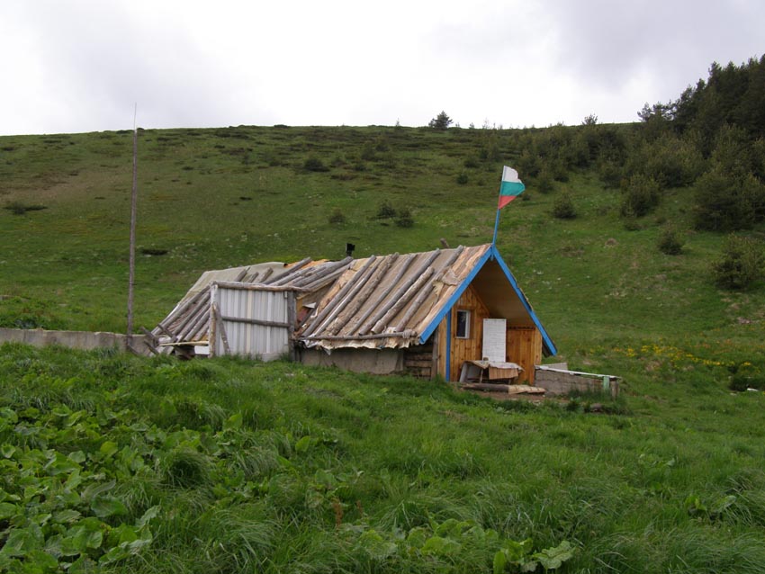 P5301324