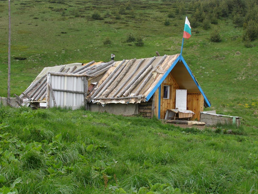 P5301325