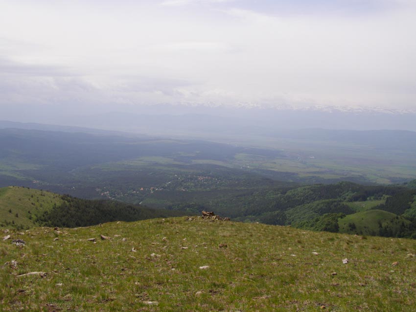 P5301329