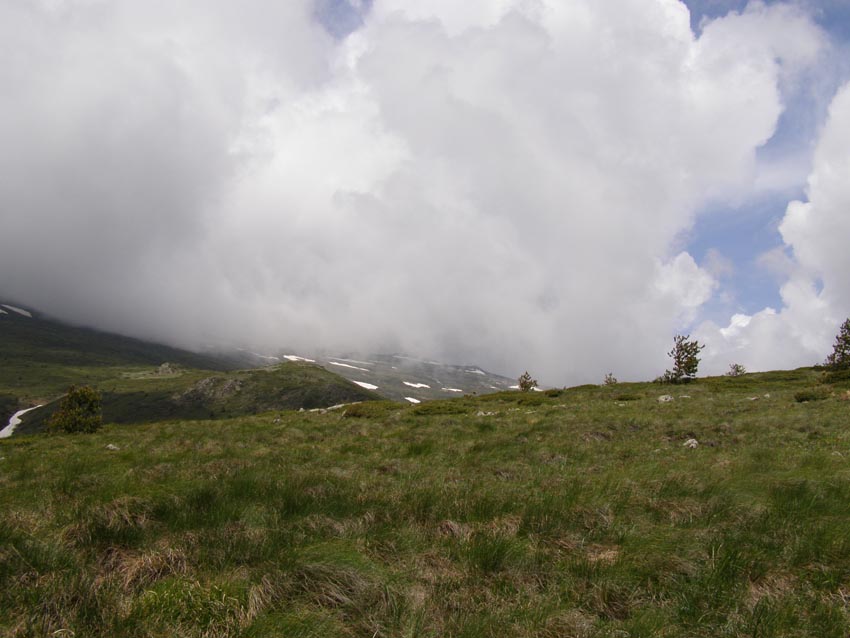 P5301331