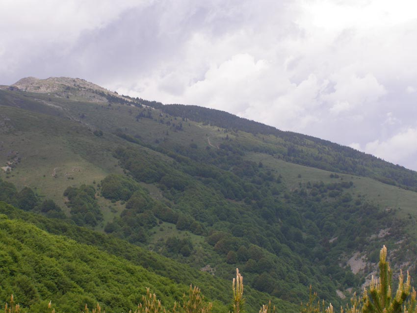 P5301333