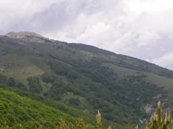 P5301333