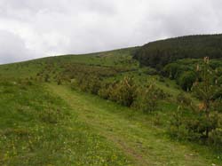 P5301334