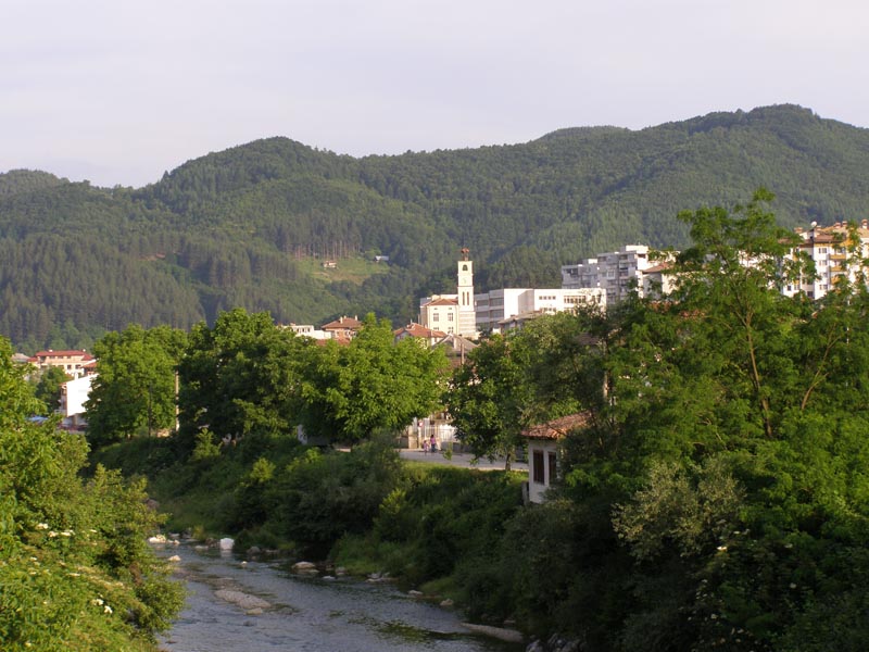 P6080774