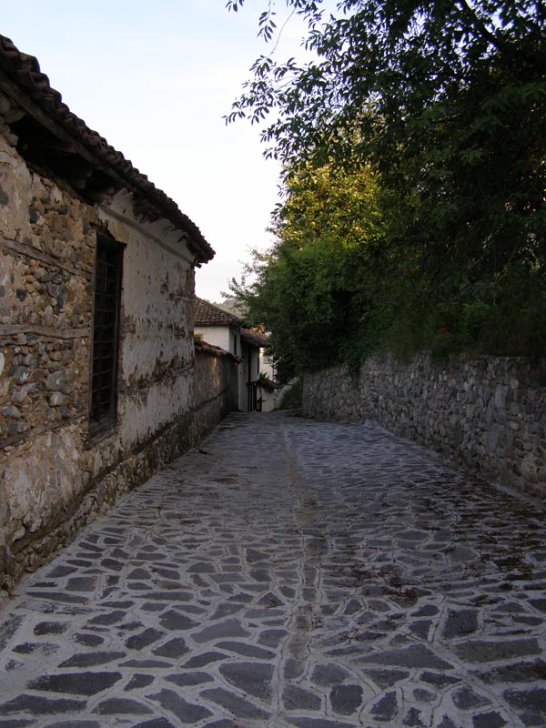 P6080795