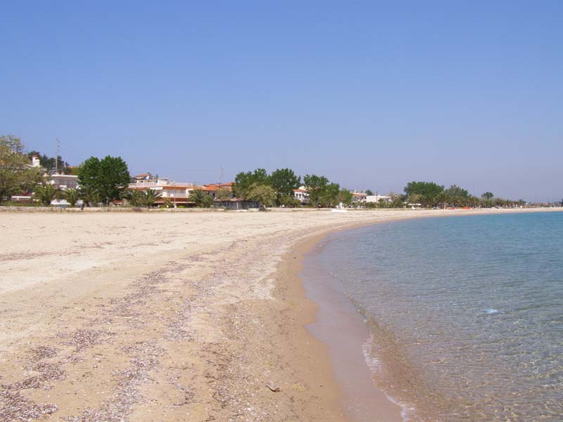 P5010090