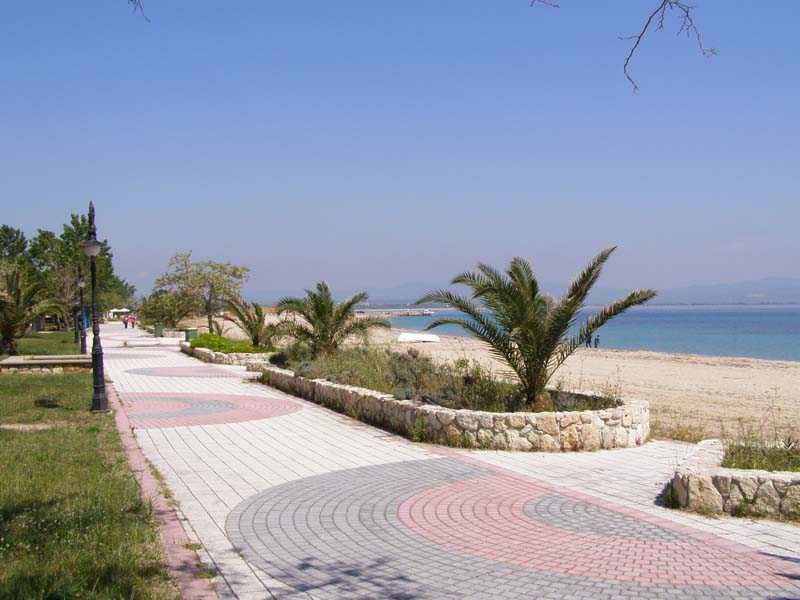 P5010093