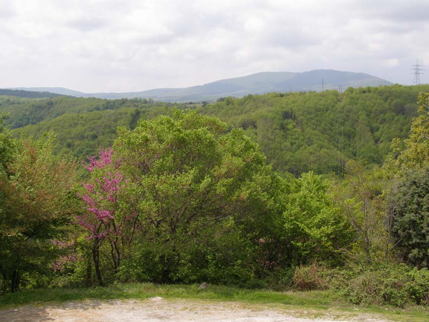 P5030187
