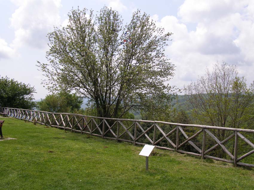 P5030194
