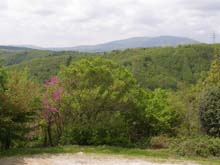 P5030187