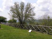 P5030194