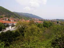 P5030216