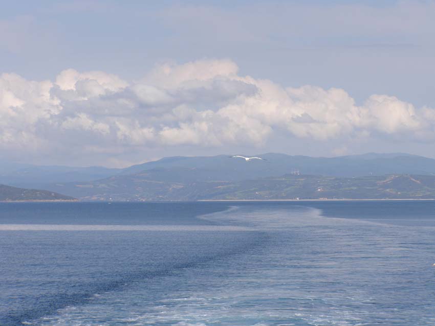 P5020026