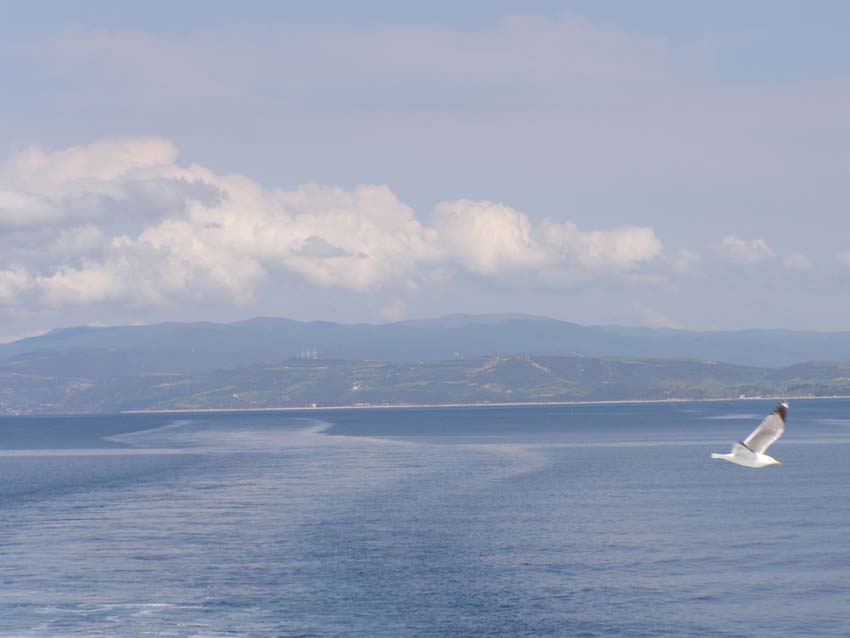 P5020027