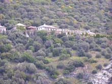 P5020066