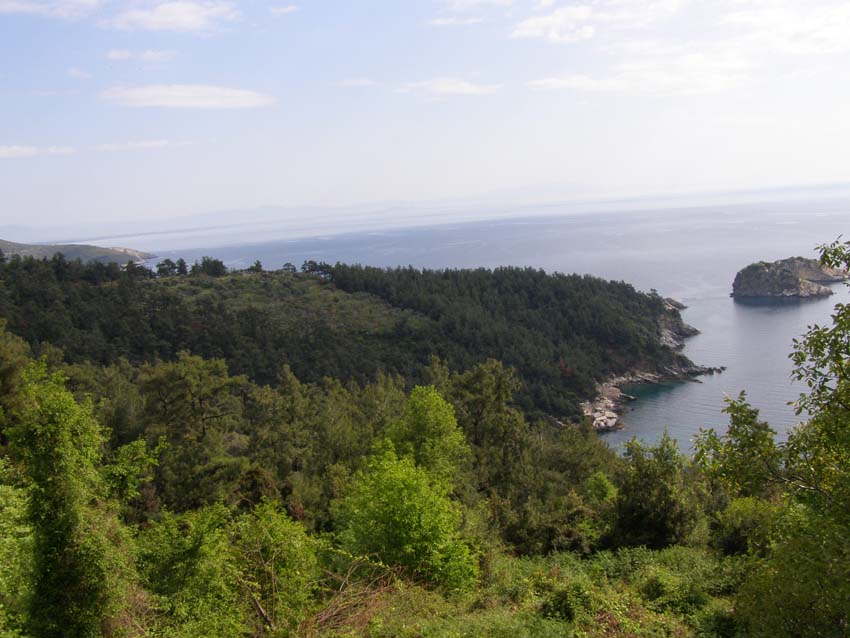 P5080611