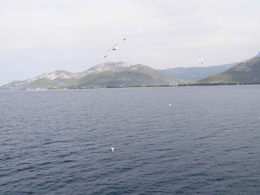 P5050456