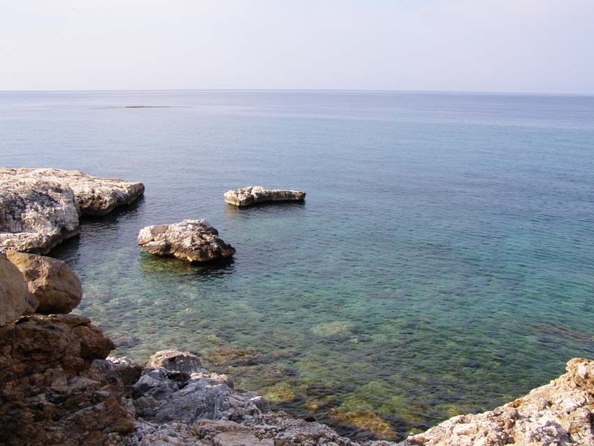P5070534