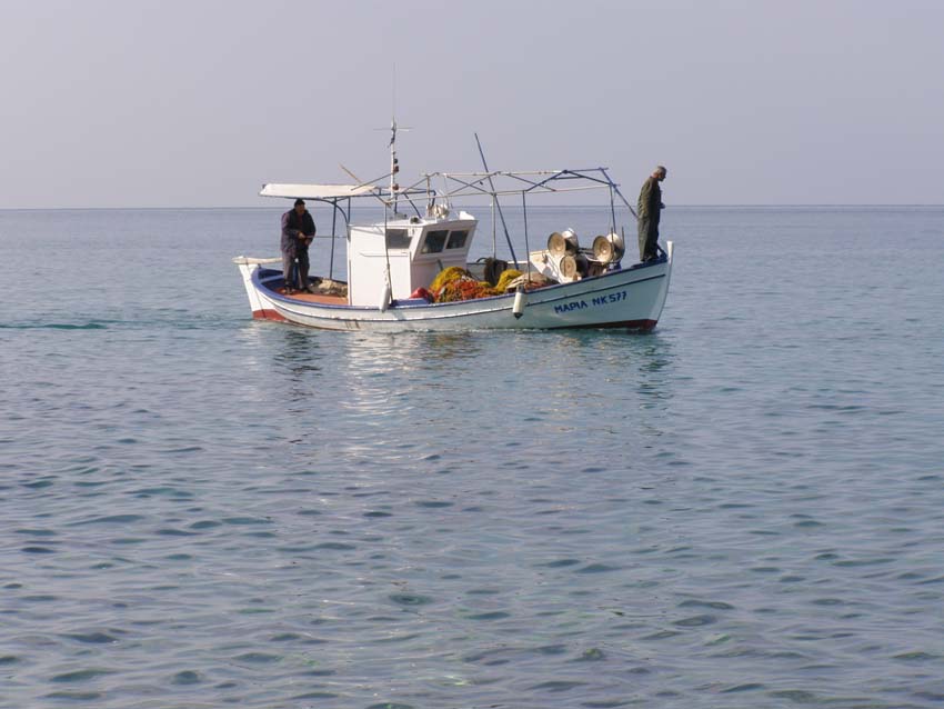 P5070537