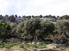 P5070565