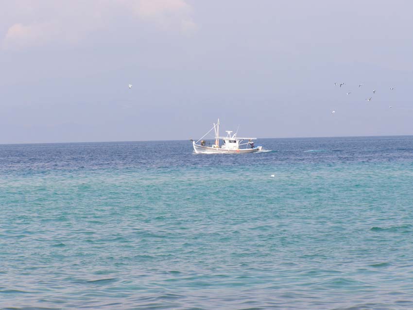 P5060490