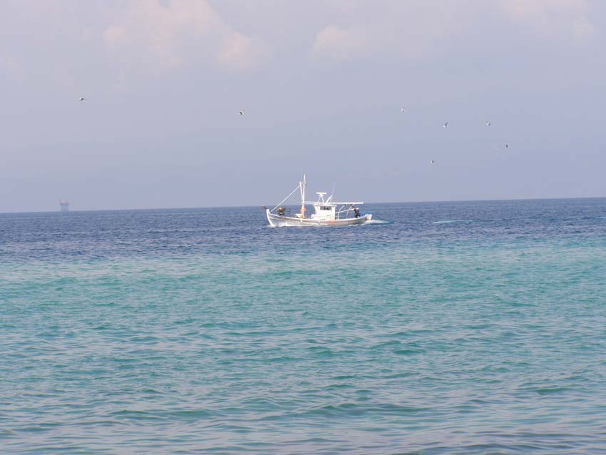 P5060491