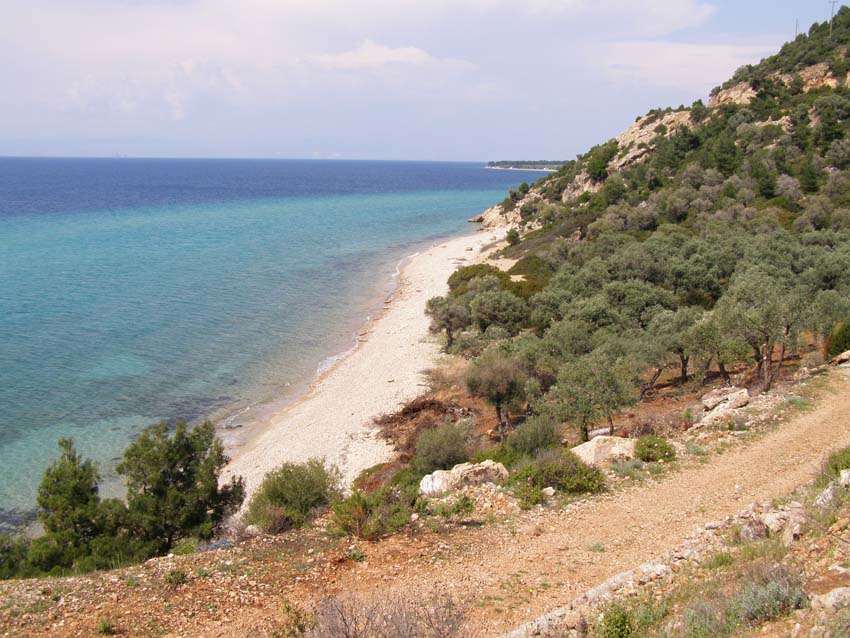 P5060492